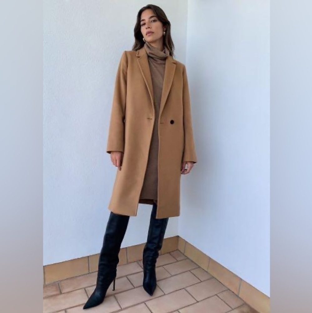 Aritzia Babaton Stedman Wool Coat